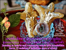 Entwining Soul & Body Wax Amulet Powerful Love Charm Wax Attraction Enchantment