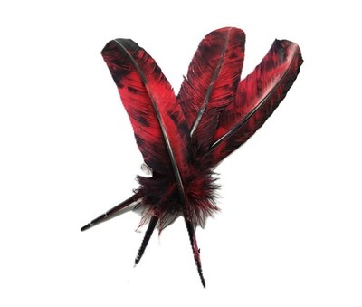 Black & Red  10'' - 12''  Feather | Craft Supply | Smudging Feathers