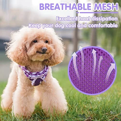 Dog Harness for Puppy and Small New XS(CHEST 12.8"-14.8", 3-9 lbs) Purple