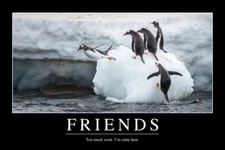 Friends Too Much Work Funny Demotivational Poster 12x18