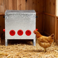 Automatic Chicken Feeder 5 Port Large Capacity Metal Poultry Feeder for Hen Coop