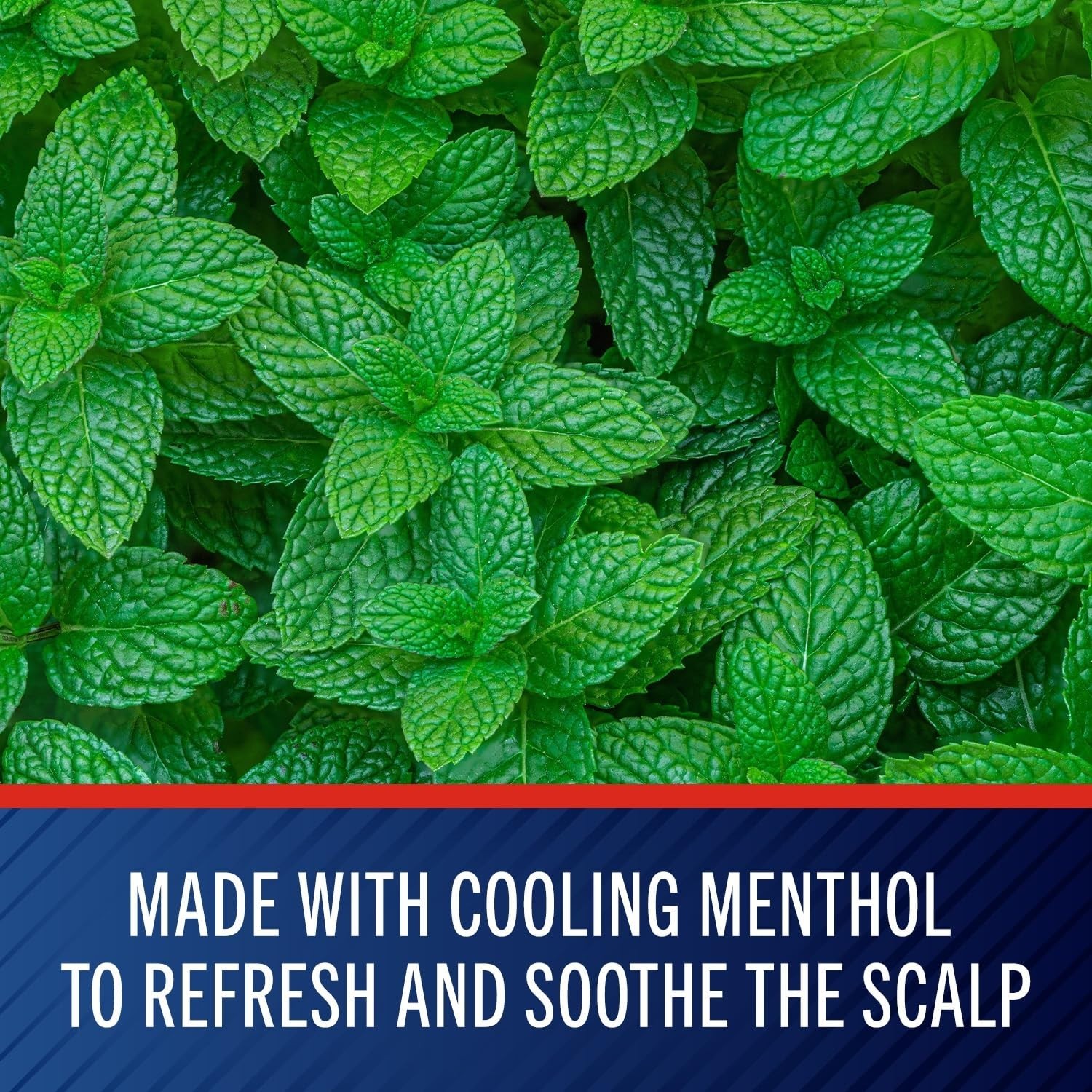 Selsun Blue Medicated Antidandruff Shampoo, Maximum Strength Scalp Treatment...