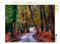 Calvendo Puzzle Fall Walk | 1000 Pieces, Finished Size 25.2 × 18.9 In (64 × 48 C