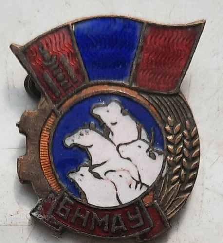 Vintage Mongolia enamel Badge