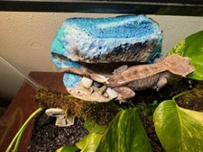 Magnetic Rock Ledges for Terrariums and Cages Works for all sorts of Reptiles