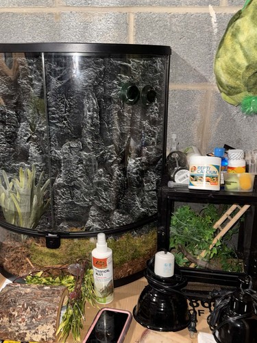 Chameleon Terrarium COMPLETE Starter Kit Pre-Owned Vivarium + Heat Lamp $550+Val