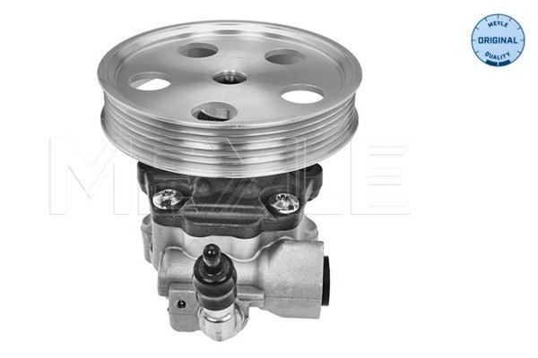 Meyle Hydraulikpumpe Lenkung 114 631 0042 FüR Audi Q5 8RB Tfsi Hybrid Quattro-image