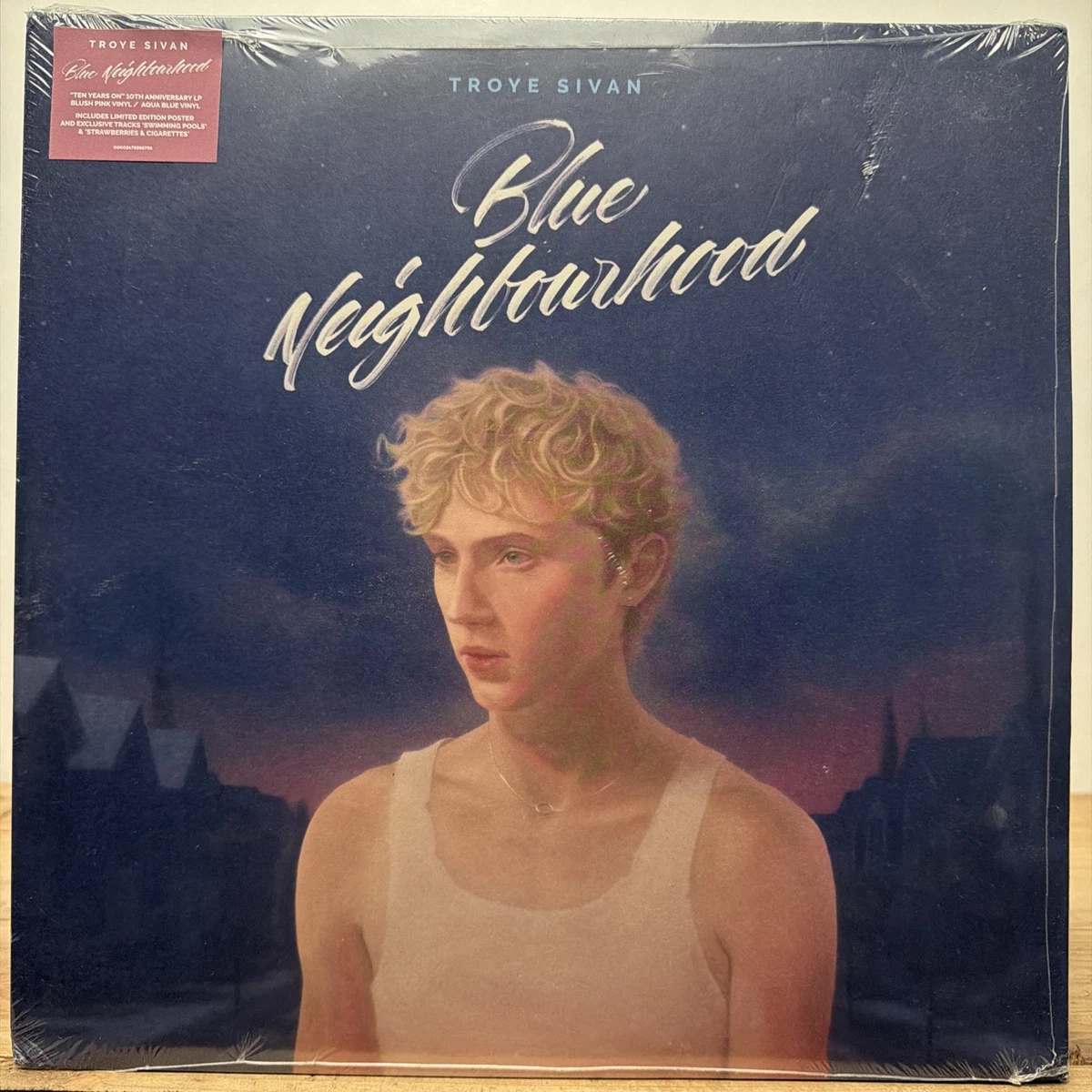 Las mejores ofertas en Discos de vinilo Troye Sivan | eBay