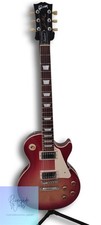 Gibson E-Gitarre LPS500HSNH1