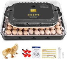 70 Egg Incubator for Hatching Eggs with Auto Egg Turning & Temperature Control🎁