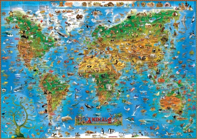 Animals of the World kids wall map laminated - Image 7