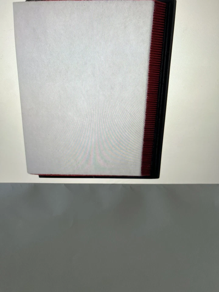 Filtro de aire desechable de motor preengrasado y tratado HIGHFLOW PA6272x Performance Foto 4 de 4