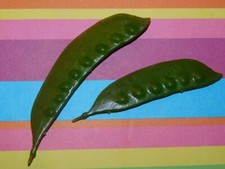 Play food for Kid Kitchen Peas in the Pod Fake Food Faux Food Stage Prop Replica