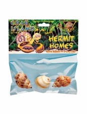 T-Rex Hermit Crab Home Small Shell 3 pk 