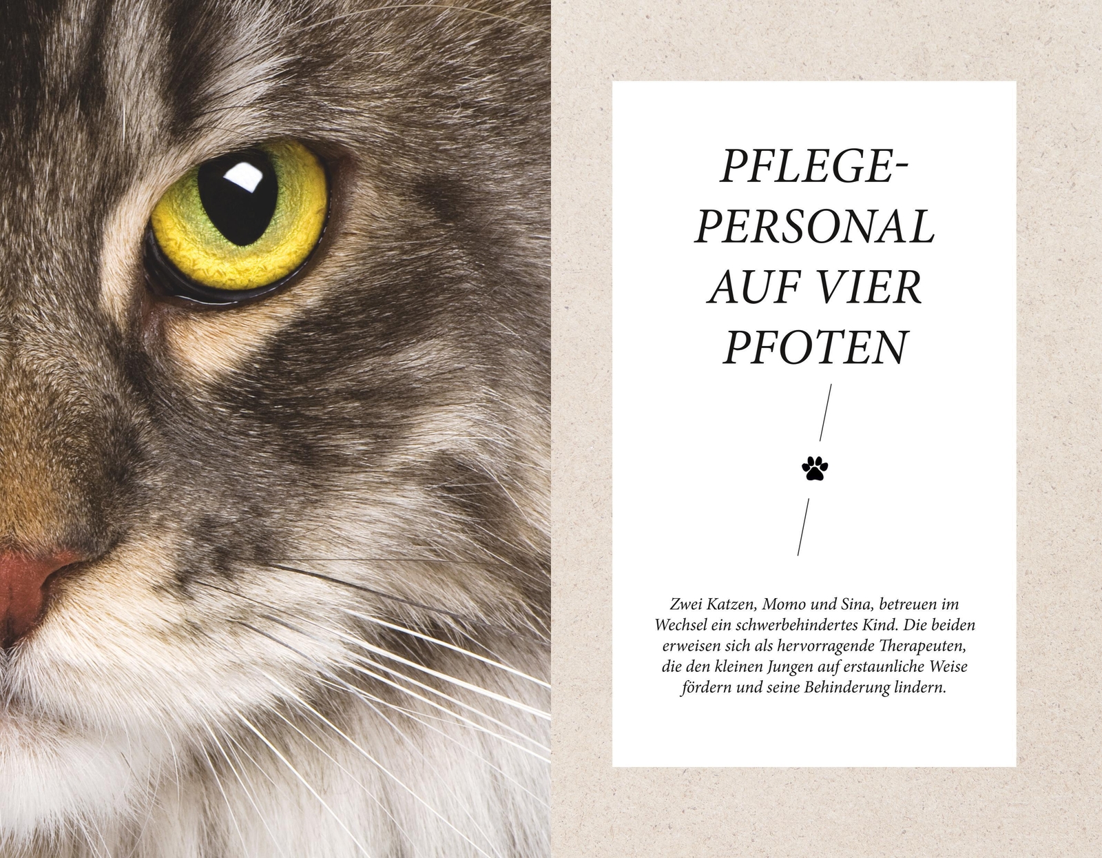 Thumbnail - Gabriele Linke-grün | Die Unglaublichen Fähigkeiten Der Katze | Buch |