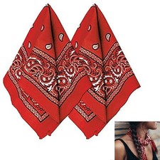 2 Pack Multi-Purpose Bandana Old Western Paisley Scarf Hat Headband Head Wrap
