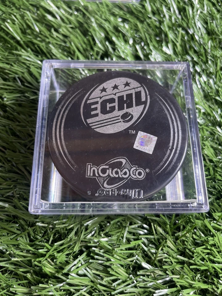 Disco de hockey South Carolina Stingrays ECHL disco oficial de juego Inglasco con estuche Foto 3 de 3