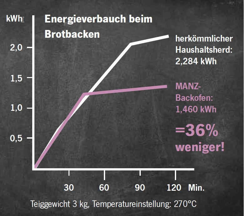 MANZ Einbaugerät 30/1E Backofen Einbaugerät Pizza Grill Brot Ofen Dampfgarer - Bild 3 von 4
