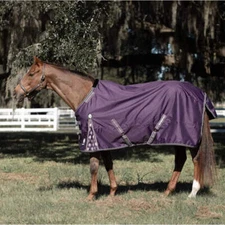 E24004-GPU Equinavia Norse Mid Weight Turnout Blanket 200g - Grape Purple NEW