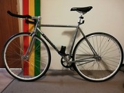 bianchi pista gumtree