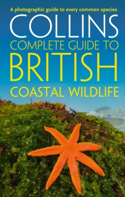 British Coastal Wildlife by Andrew Cleave (Paperback Book)