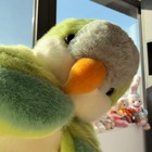Bild 8 von 20