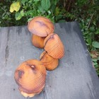 Bild 8 von 12