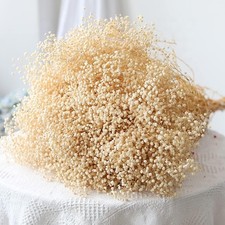 Ivory White Dried Baby's Breath - 5.7oz Bouquet for Elegant Weddings  Parties