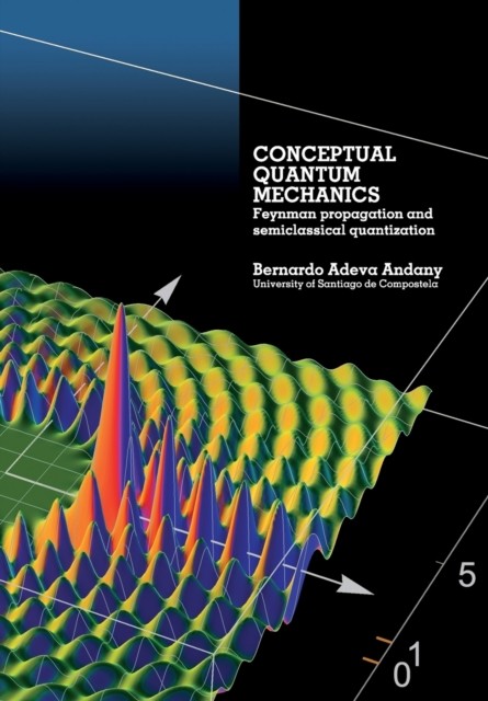 Conceptual Quantum Mechanics: Feynman propaga by Bernardo Adeva Andany PAPERBACK