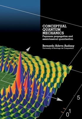 Conceptual Quantum Mechanics: Feynman propaga by Bernardo Adeva Andany PAPERBACK