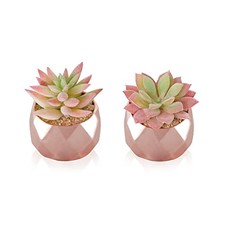 Artificial Faux Succulents in Pots, Mini Rose Gold Fake Plants for Gold-2