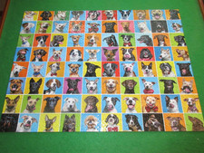 KI 1000 Piece Puzzle - Cute Dog Collage