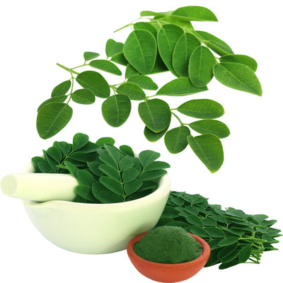 ORGANIC Moringa Oleifera Leaf Powder 50g | Superfood Multi Vitamin FREE SHIPPING