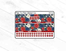 1007-6C July 8.5X11 Monthly View Planner Stickers.