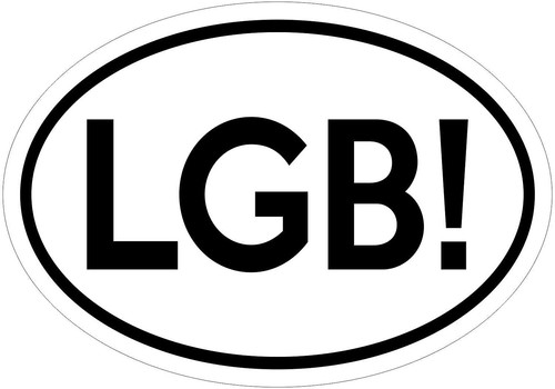 LGB Let s GO Brandon Oval Sticker ANTI BIDEN TRUMP FJB F K JOE Save 