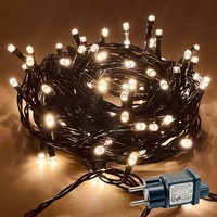 Lichterkette AußEn 25M 200 LED Warmweiß IP44 Wasserdicht 8 Modi Timer Garten