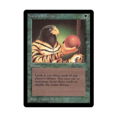 WotC MtG Beta Natural Selection (R) Selten   Ungegradet   Englisch