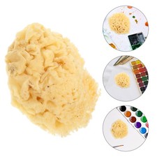 Painting Tools for Artists Natural Sea Sponge Sponges Watercolor