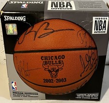 Chicago Bulls Collecting and Fan Guide 81