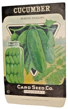 1920s Litho Antique Vintage Card Seed Co. Packet Pack Cucumber Unused Lithograph