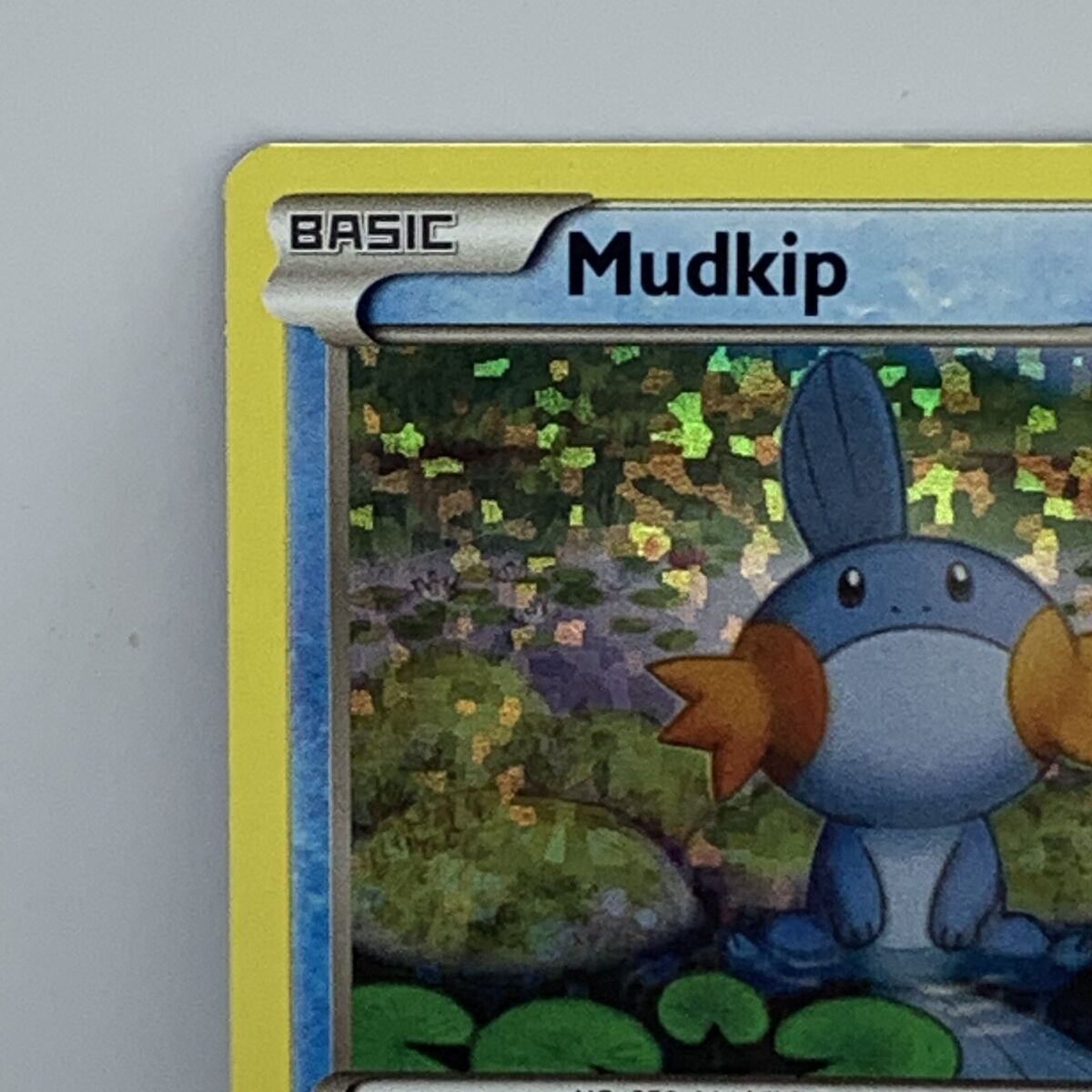 POKEMON MUDKIP HOLO CARD #19 MCDONALD'S 25TH ANNIVERSARY POKEMON MUDKIP HOLO CARD #19 MCDONALD'S 25TH ANNIVERSARY