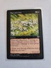 Kaervek's Hex - Mirage - MTG Magic - Uncommon - Black Sorcery