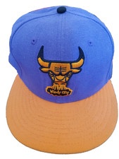 New Era Chicago Bulls Windy City Snapback One Size purple