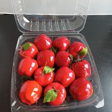 Red Glossy Apple Christmas Tree Ornaments Faux Silk Leaves Set Of 13 Festive 2