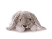 Hase Hasi Kuscheltier PlüSchtier Stofftier 32 Cm Liegend Klein Weich