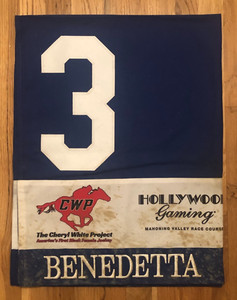 BENEDETTA WINNING SADDLE CLOTH 2024 CHERYL WHITE STAKES MAHONING VALLEY