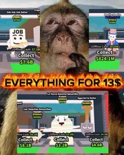 STEAL A BRAIN ROT SECRETS AND RARE ITEM ALL FOR 13$/ PLEASE READ DESCRIPTION