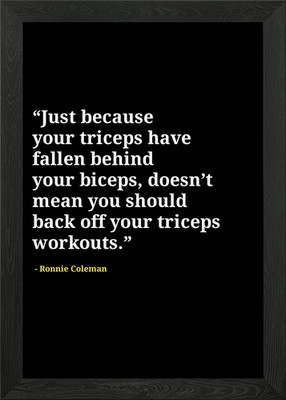 Ronnie Coleman Zitate gerahmtes Wandbild Poster Leinwanddruck Bild