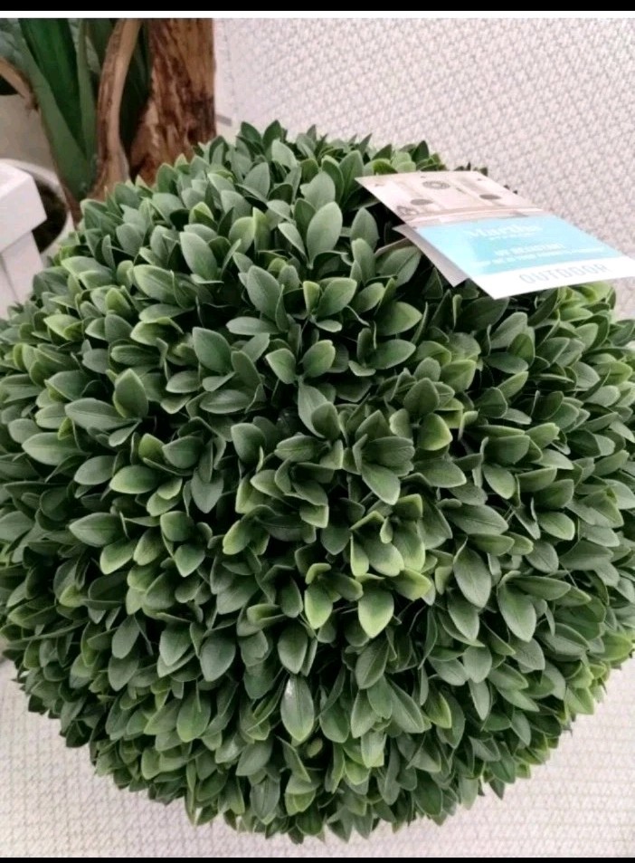 Martha Stewart MINT JULEP FERN TOPIARY PLANT BALL unique Boxwood