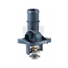 Thermostat Audi 60